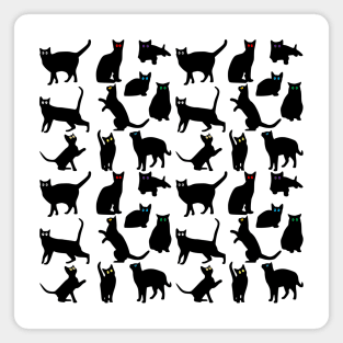 Black Cats Magnet